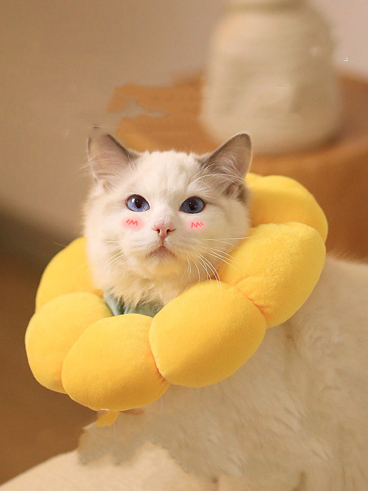 36de6ae757bb26109c90c4a6ec173cd4